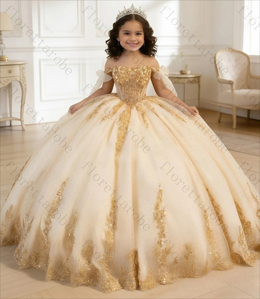 Customized Champagne Gold Lace - Birthday Sash Glitter review and price